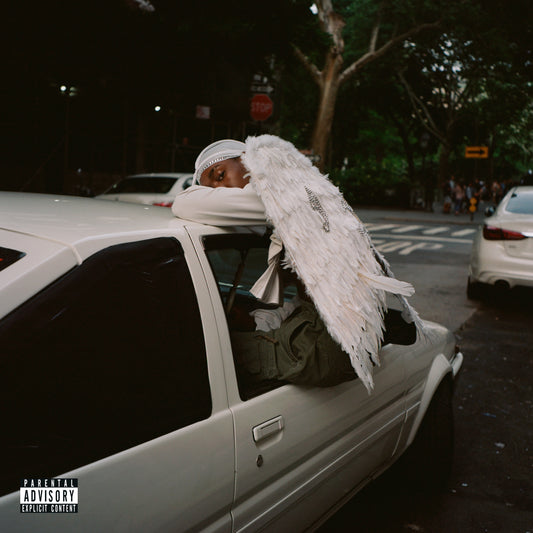 Negro Swan |