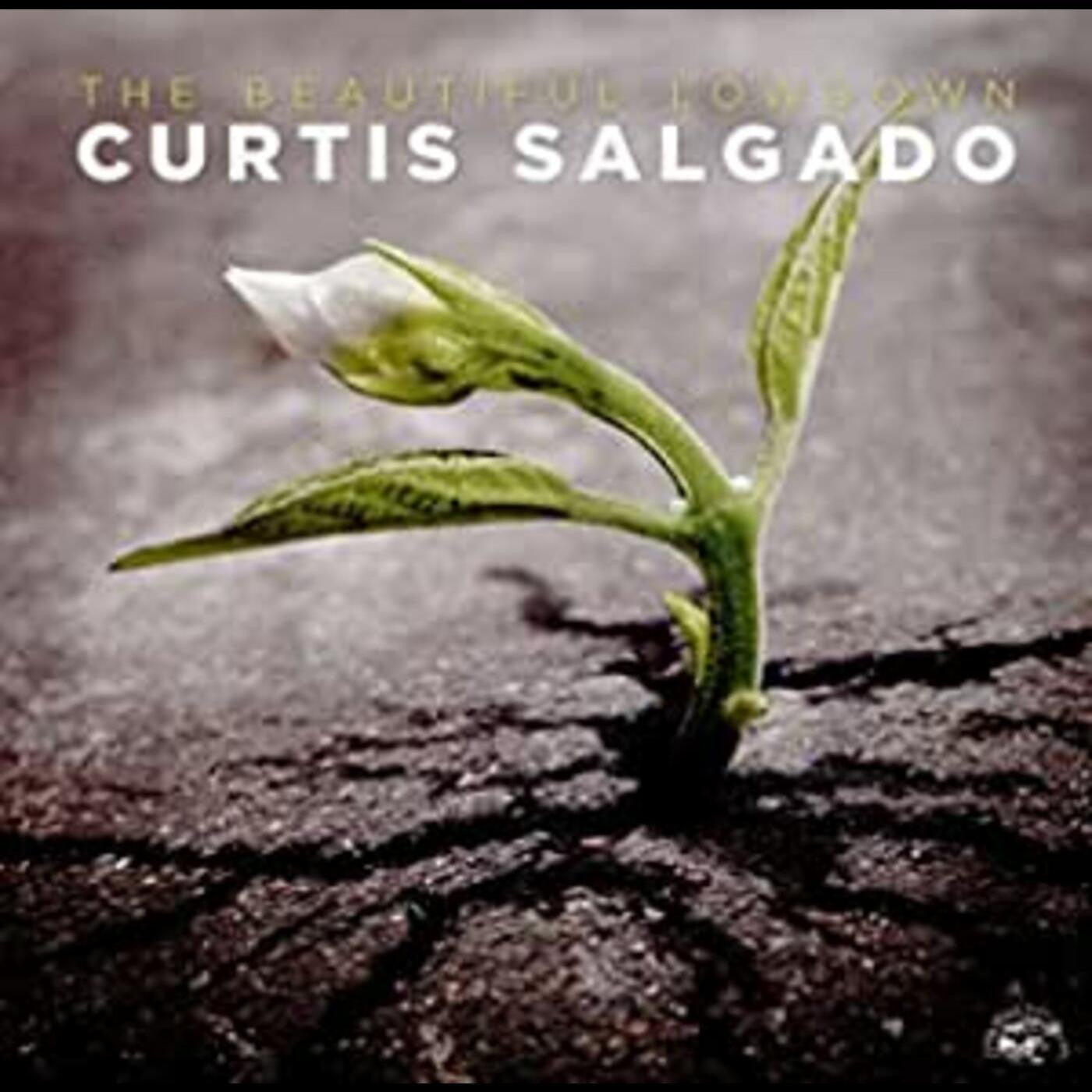 Salgado, Curtis - Beautiful Lowdown (CD) | - BLUES *NEW*