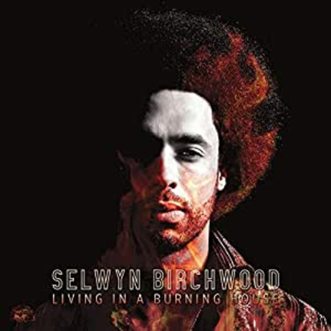 Birchwood, Selwyn - Living In A Burning House (CD) | - BLUES *NEW*