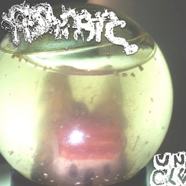 FISH NARC - (PRESALE 10/16/26) Uncle (VINYL LP) | NEW - BLUES *NEW*