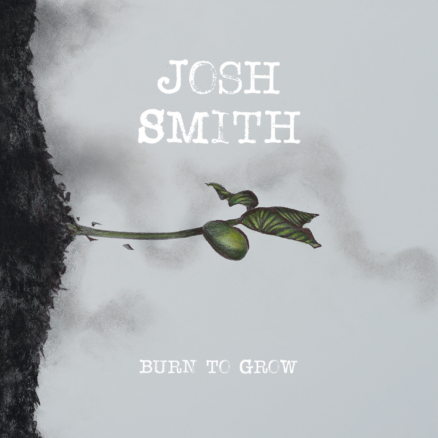 Smith, Josh - Burn To Grow (CD) | Mint Mint - BLUES *NEW*