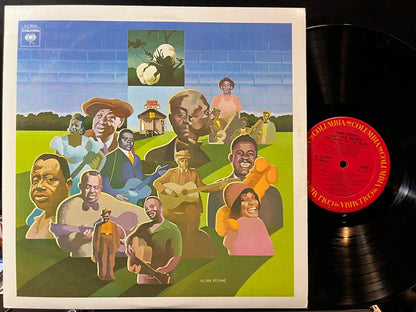 Various - The Story Of The Blues (2xVINYL) | Near Mint (NM) Near Mint (NM) - BLUES / USED *NEAR MINT*
