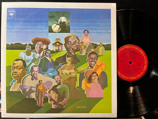 Various - The Story Of The Blues (2xVINYL) | Near Mint (NM) Near Mint (NM) - BLUES / USED *NEAR MINT*