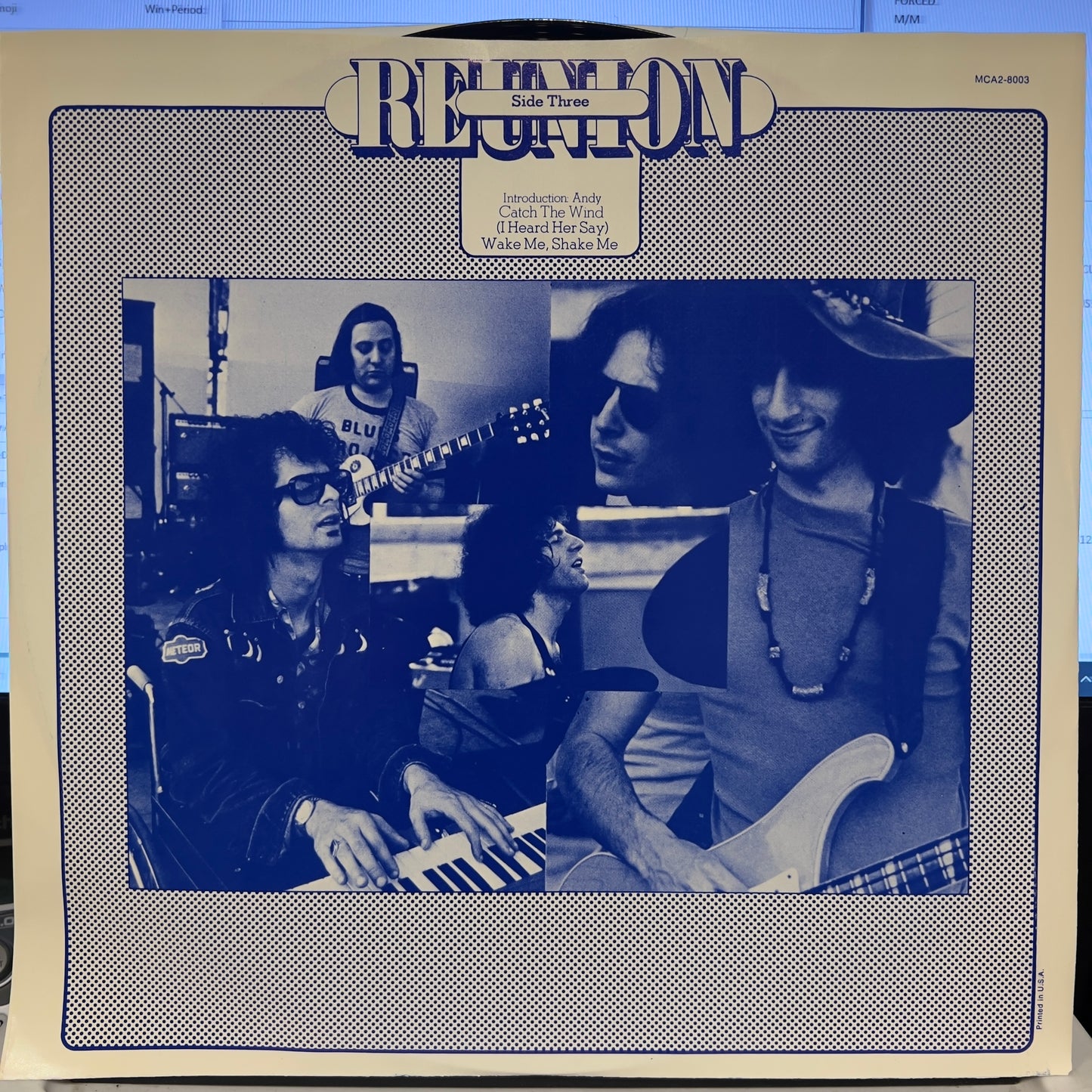 Reunion In Central Park | Near Mint (NM) Near Mint (NM)