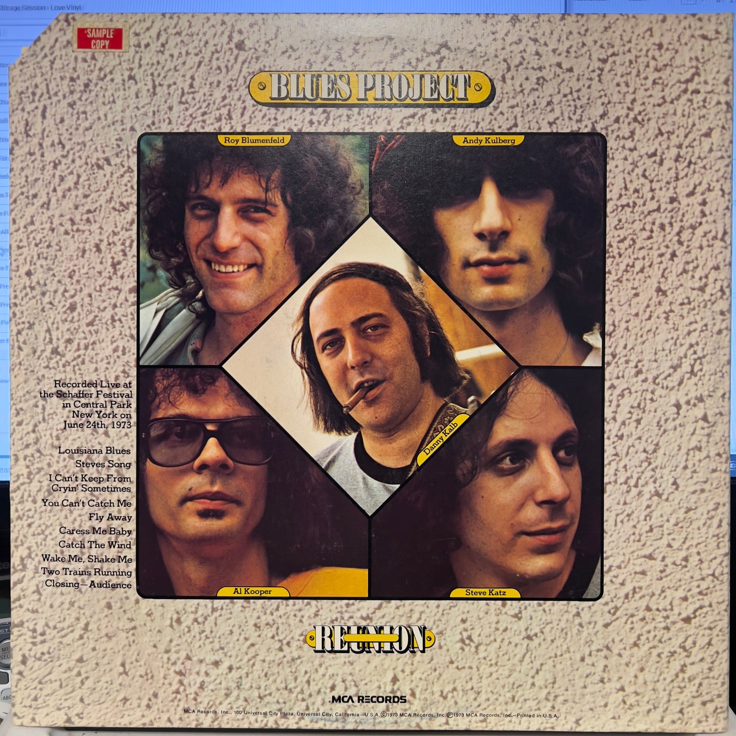 The Blues Project - Reunion In Central Park | Near Mint (NM) Near Mint (NM) - BLUES / USED *NEAR MINT*