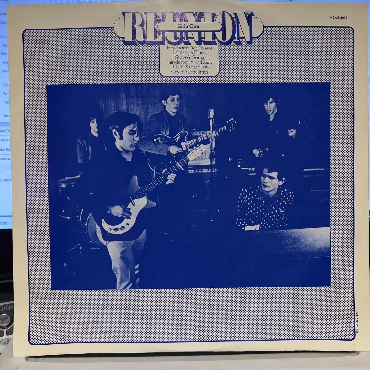 The Blues Project - Reunion In Central Park | Near Mint (NM) Near Mint (NM) - BLUES / USED *NEAR MINT*