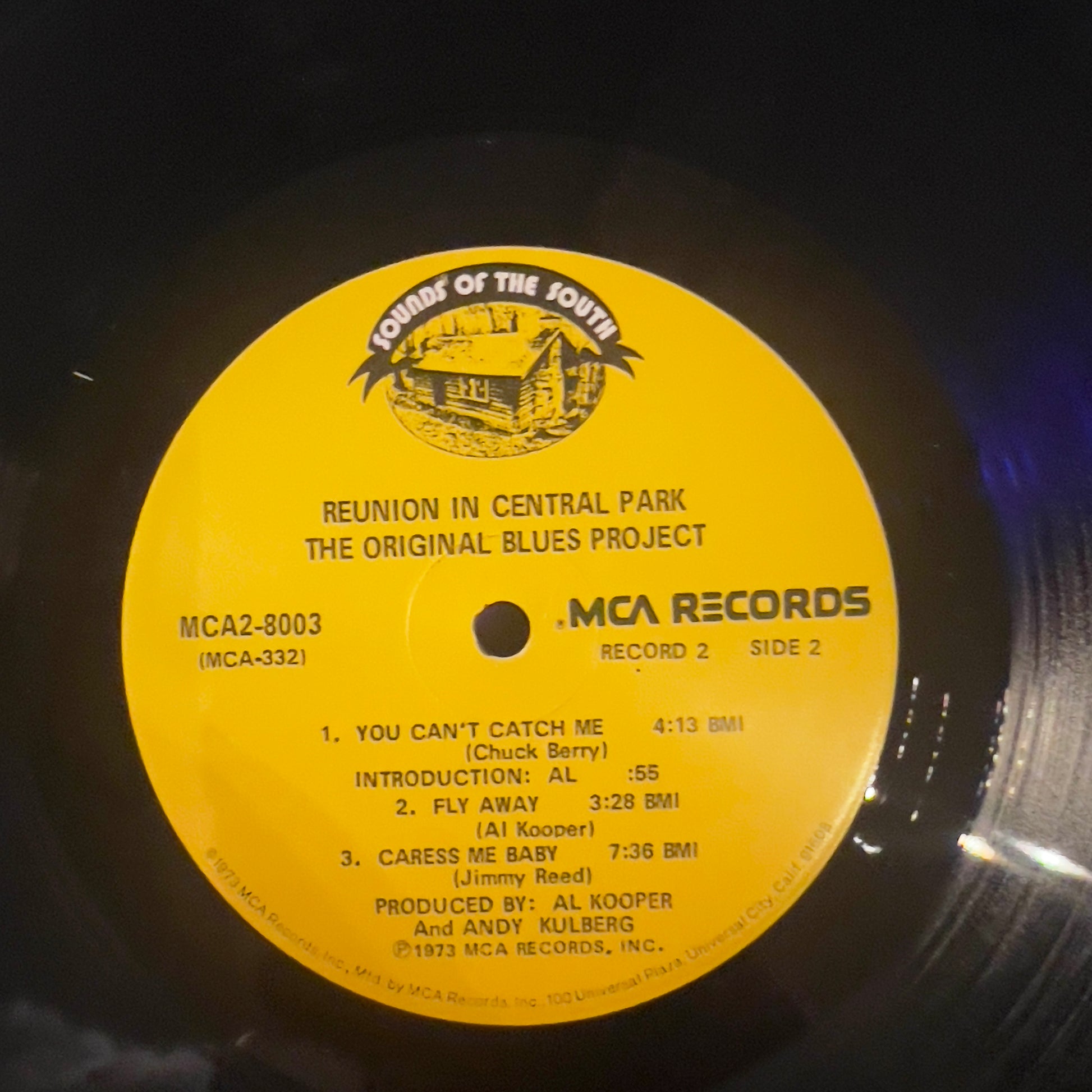 The Blues Project - Reunion In Central Park | Near Mint (NM) Near Mint (NM) - BLUES / USED *NEAR MINT*
