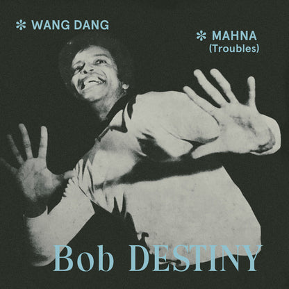 Bob Destiny - Wang Dang / Manha (Troubles) *7"* | Mint (M) Mint (M) - FUNK *SEALED*