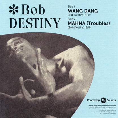 Bob Destiny - Wang Dang / Manha (Troubles) *7"* | Mint (M) Mint (M) - FUNK *SEALED*