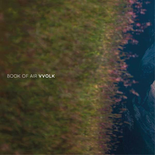 Vvolk (VINYL) | Mint (M) Mint (M) - DOWNTEMPO