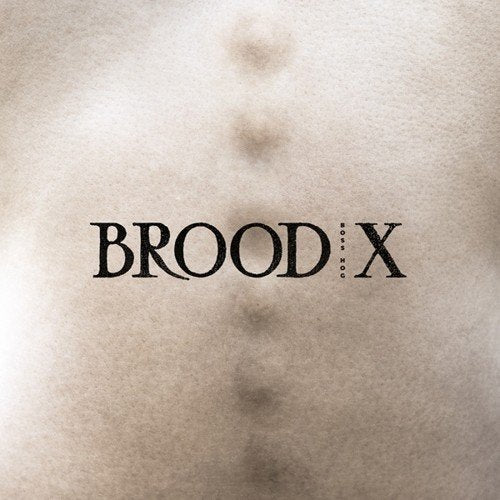 BROOD X |