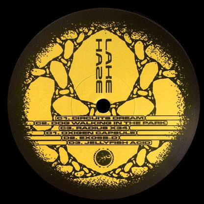 Glitching Dreams (2LP VINYL) |