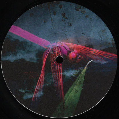 Arsonist Recorder / Sigma_ALgebra - Arkada 005 (VINYL 12" Arkada) | NEW - BREAKS *NEW*