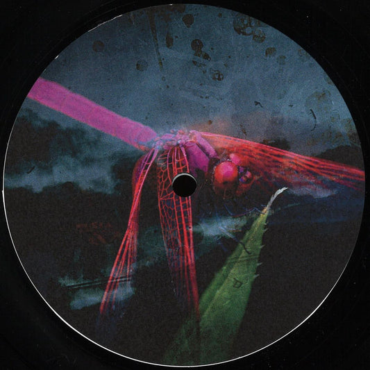 Arsonist Recorder / Sigma_ALgebra - Arkada 005 (VINYL 12" Arkada) | NEW - BREAKS *NEW*