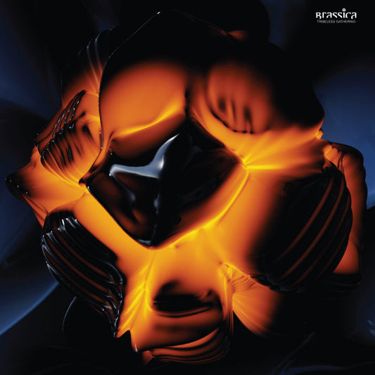 Tribeless Gathering (VINYL) | Mint (M) Mint (M)
