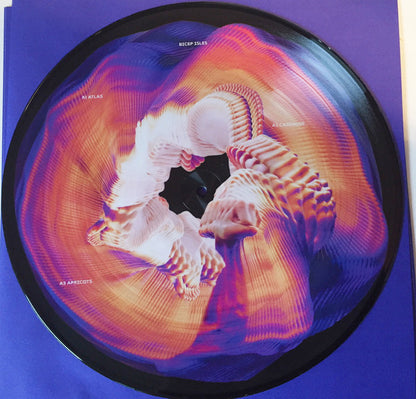 Isles (PICTURE VINYL) | Mint (M) Mint (M)