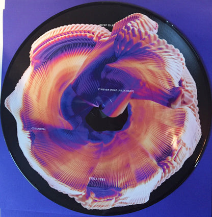 Isles (PICTURE VINYL) | Mint (M) Mint (M)