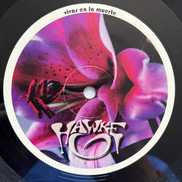 Erections From Namaquadisco Volume 2 (VINYL) | Excellent (EX) Excellent (EX) - BREAKS / USED *EXCELLENT*