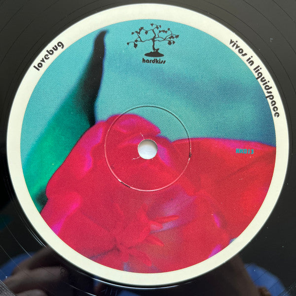 Erections From Namaquadisco Volume 2 (VINYL) | Excellent (EX) Excellent (EX) - BREAKS / USED *EXCELLENT*