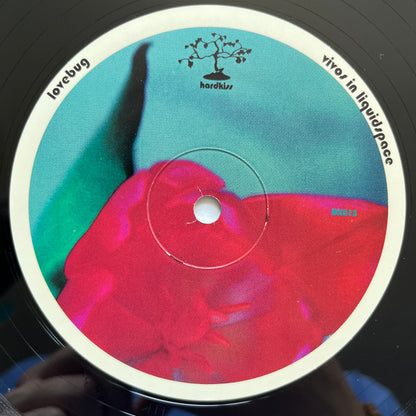 Erections From Namaquadisco Volume 2 (VINYL) | Excellent (EX) Excellent (EX) - BREAKS / USED *EXCELLENT*
