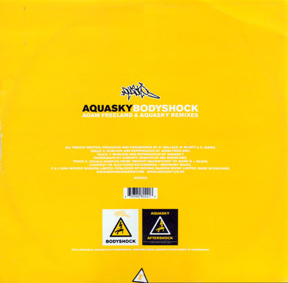 Bodyshock (Adam Freeland & Aquasky Remixes) | Near Mint (NM or M-) Very Good Plus (VG+) - BREAKS / USED *NEAR MINT*