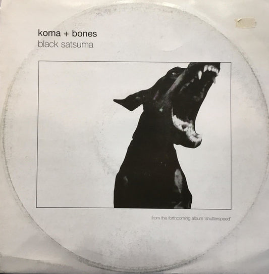 Black Satsuma (12" VINYL) | Very Good Plus Plus (VG++) Very Good Plus (VG+) - BREAKS / USED *VERY GOOD++*