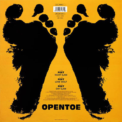 Feet (VINYL) | Very Good Plus (VG+) Excellent (EX) - BREAKS / USED *VERY GOOD+*