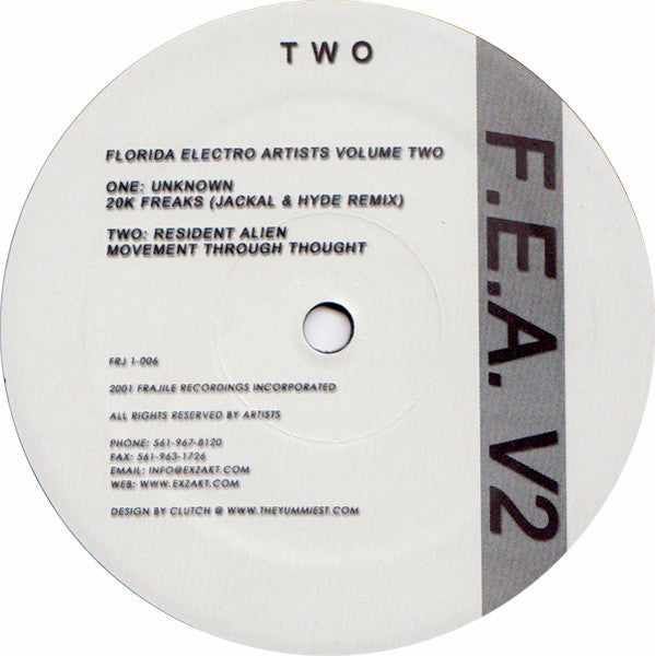 Various - Florida Electro Artists Volume Two (VINYL LP) | Very Good Plus (VG+) Very Good (VG) - BREAKS / USED *VERY GOOD+*