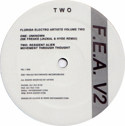 Various - Florida Electro Artists Volume Two (VINYL LP) | Very Good Plus (VG+) Very Good (VG) - BREAKS / USED *VERY GOOD+*
