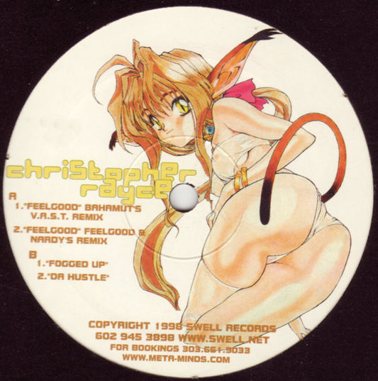 Christopher Rayce - Feelgood (VINYL) | Very Good (VG) Generic - BREAKS / USED *VERY GOOD*