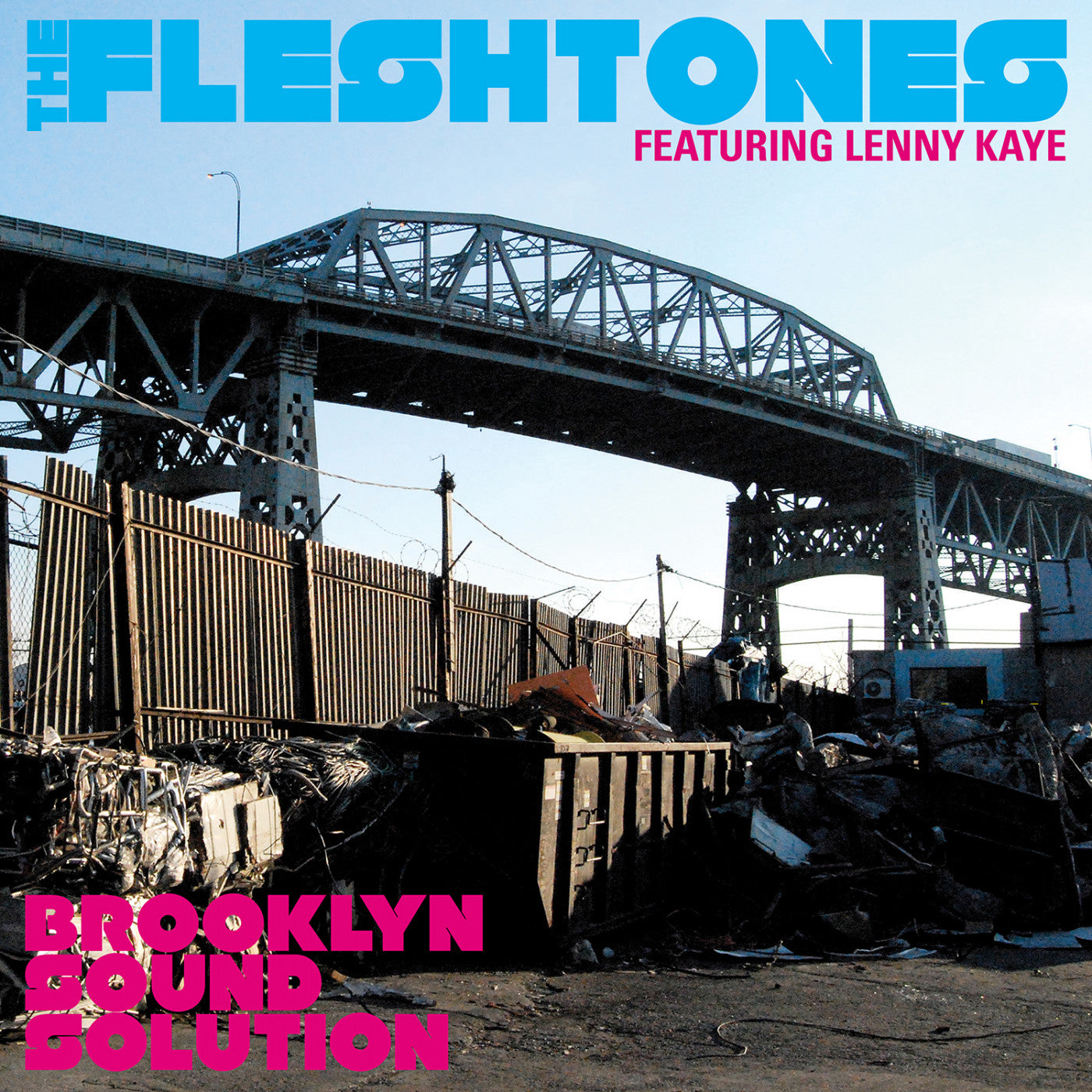 Fleshtones, The - Brooklyn Sound Solution (CD) |