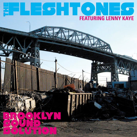 Fleshtones, The - Brooklyn Sound Solution (CD) |