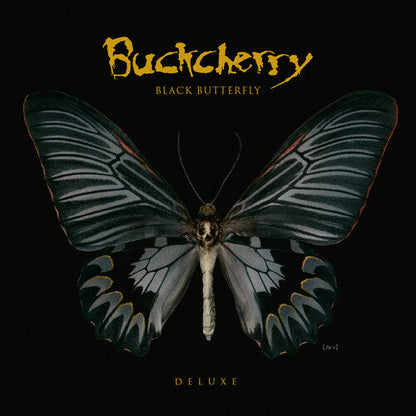 Black Butterfly (Limited Edition, 140 Gram Yellow Colored Vinyl, Deluxe Edition) (2 Lp's) |