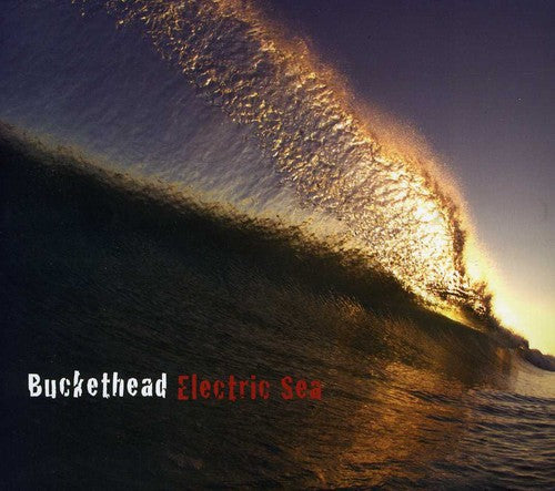 Buckethead - Electric Sea |