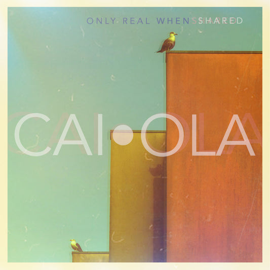 Only Real When Shared |
