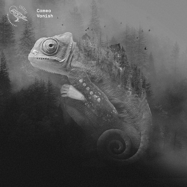 CAMEA - Vanish |
