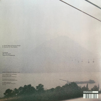 Reunion Of Two Bodies / Terms Of Propaganda | Mint (M) Mint (M) - TECHNO