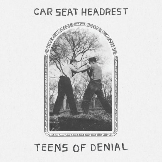 Teens Of Denial [LP] | Mint (M) Mint (M) - ALT/INDIE *SEALED*