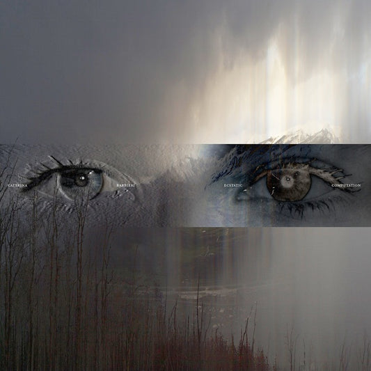 CATERINA BARBIERI - Ecstatic Computation |