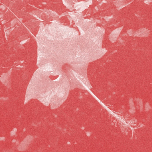 CELER - Poulaine [CD] |