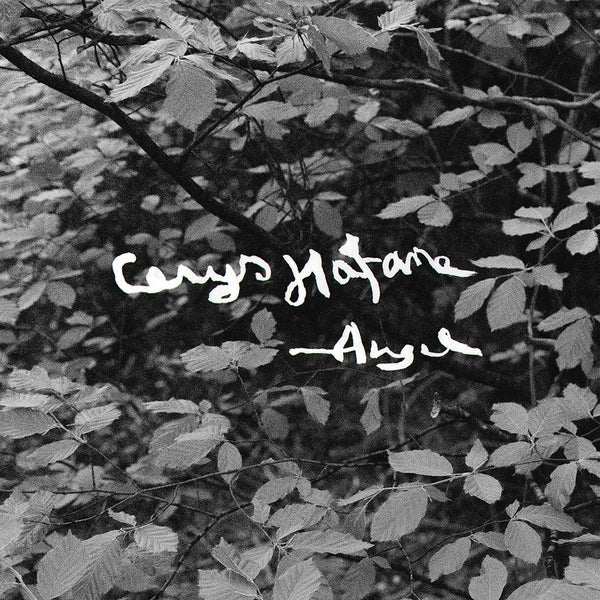 Angel [Lp] |