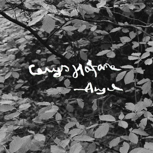 Angel [Lp] |