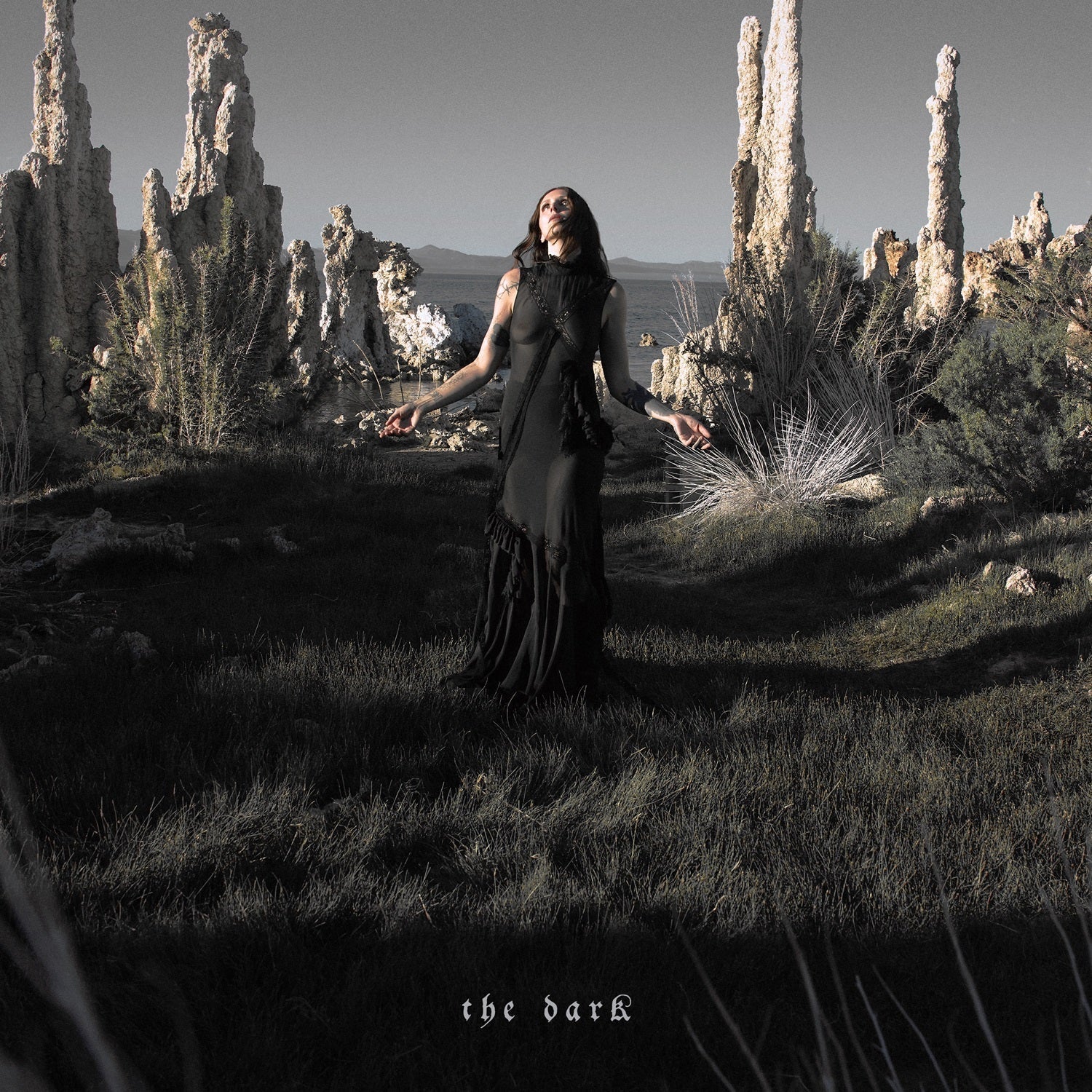 Chelsea Wolfe - The Dark [Translucent Dark Green Grass LP] [Signed] |