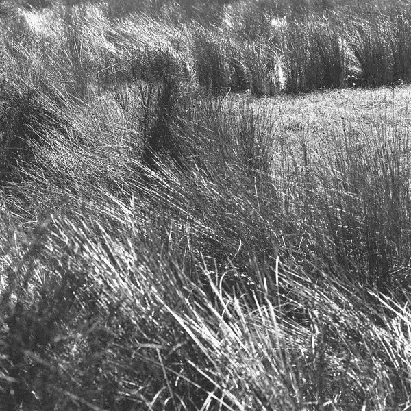 Thrown (15th Anniversary Edition) |