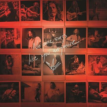 No One Sings Like You Anymore (Ltd Picture Disc) | Mint (M) Mint (M) - ALT/INDIE *PICTURE DISC*