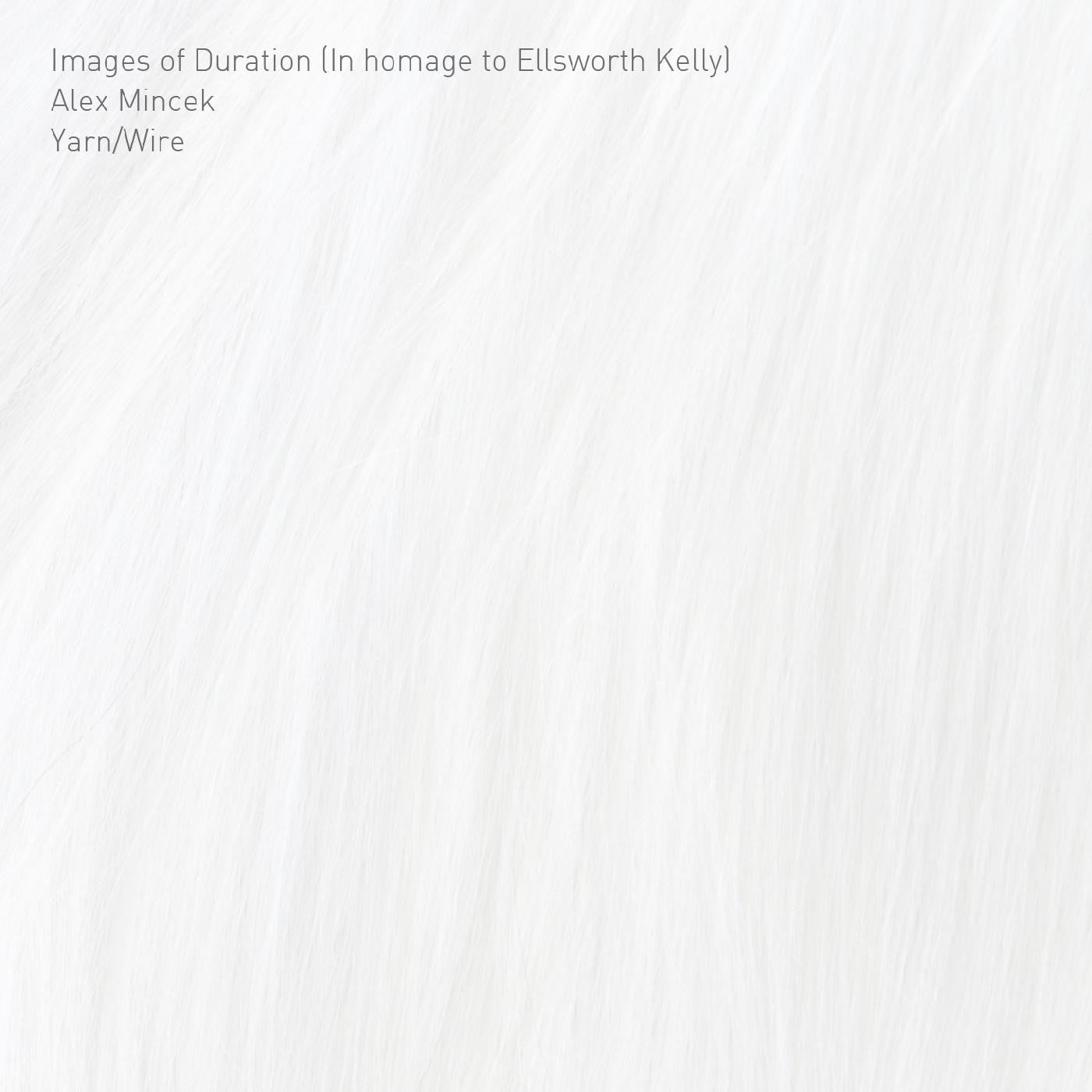 Yarn/Wire - Images of Duration (In homage to Ellsworth Kelly) (CD) | Mint Mint - CLASSICAL *NEW*