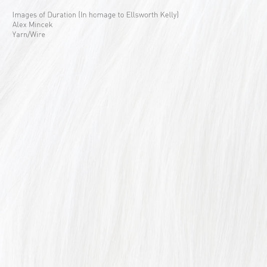 Yarn/Wire - Images of Duration (In homage to Ellsworth Kelly) (CD) | Mint Mint - CLASSICAL *NEW*