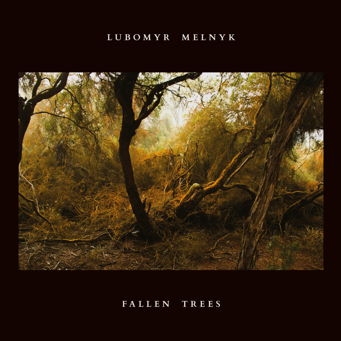 Melnyk, Lubomyr - Fallen Trees (CD) | Mint Mint - CLASSICAL *NEW*