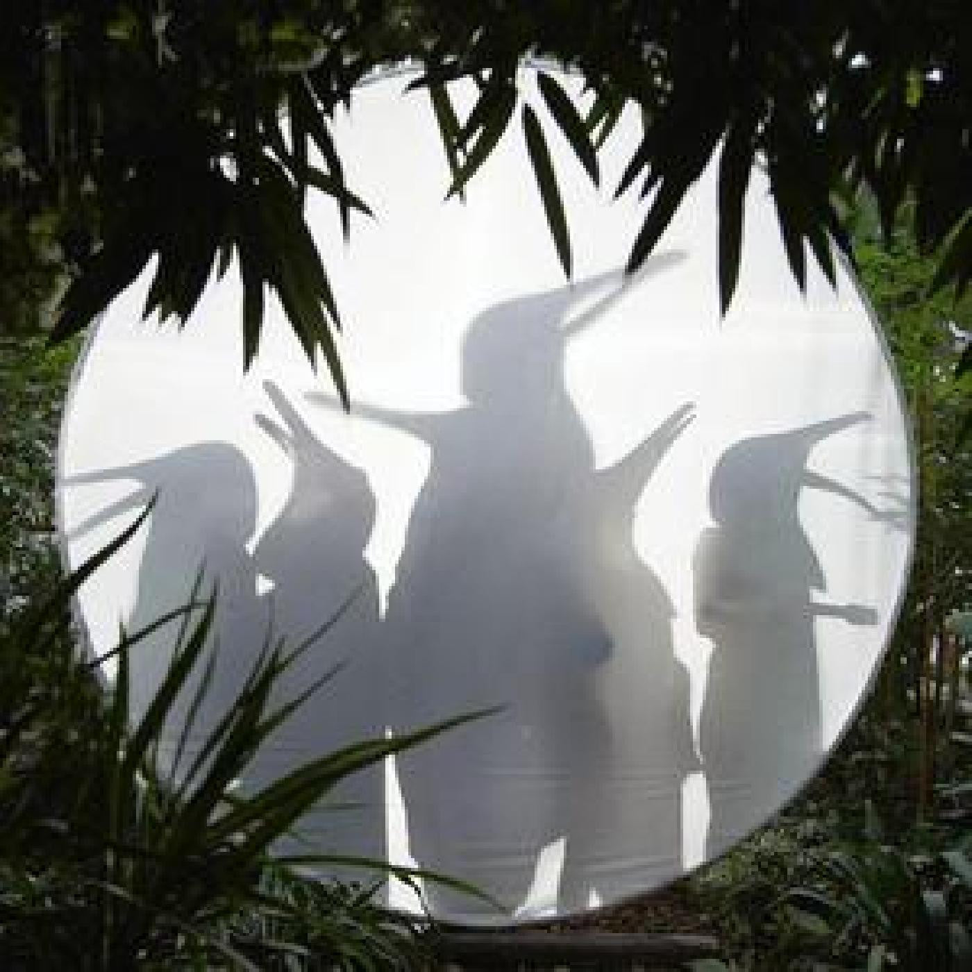 Penguin Cafe - Rain Before Seven... (PETROL GREEN VINYL) | - CLASSICAL *NEW*