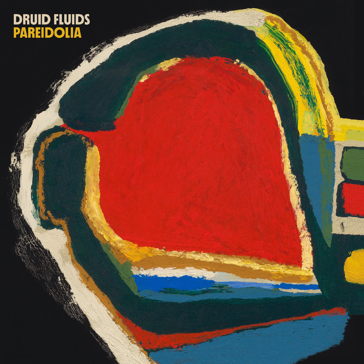 Druid Fluids - (PRESALE 11/13/26) Pareidolia (CARDBOARD WALLET CD) | NEW - CLASSICAL *NEW*
